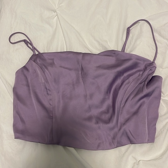NWT Silk crop top with boning - Picture 2 of 5